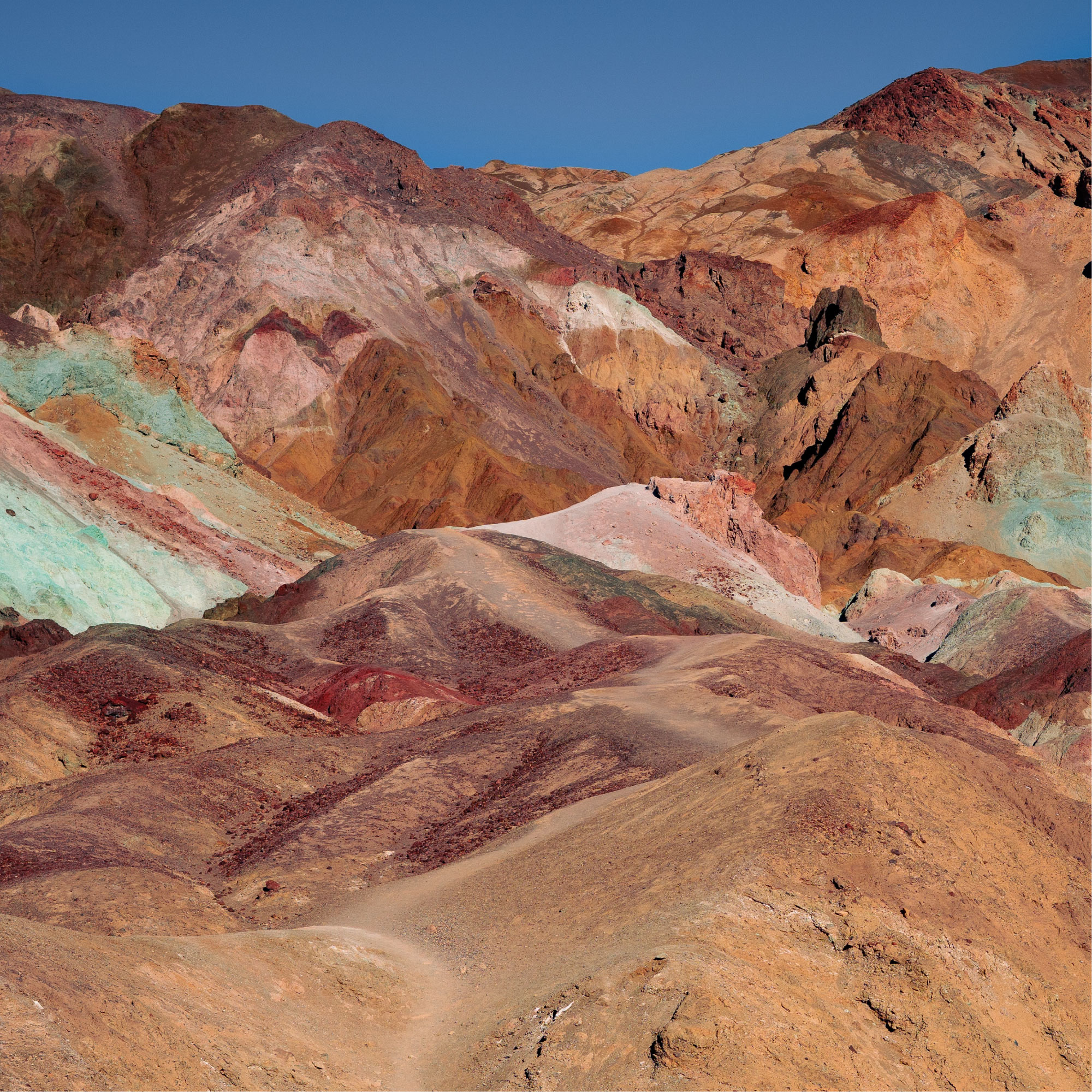 Trent Richardson, PhD  U.S. Geological Survey