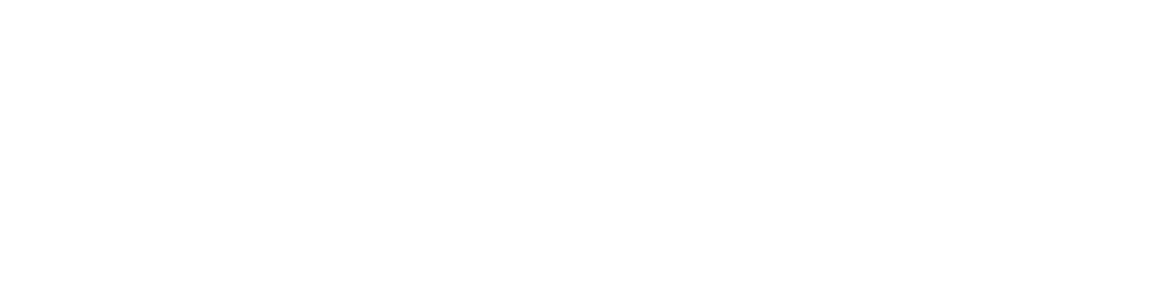 Stevens Institute of Technology